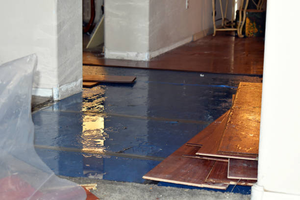 Professional Water Removal technician working in Portland, MO